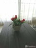 listing thumbnail image 7