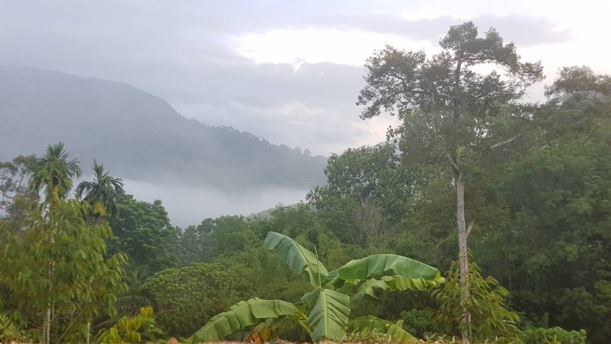 รูป โอกาสสร้างรายได้! ที่ดินติดถนนใหญ่ วิวภูเขา อากาศดี เหมาะพัฒนารีสอร์ท - รูปที่ 3/4