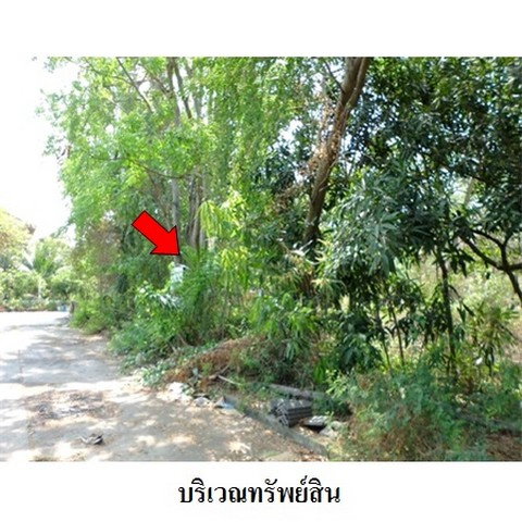 picture FOR SALE  LAND PROPERTY  6424000 BAHT. - 7/8