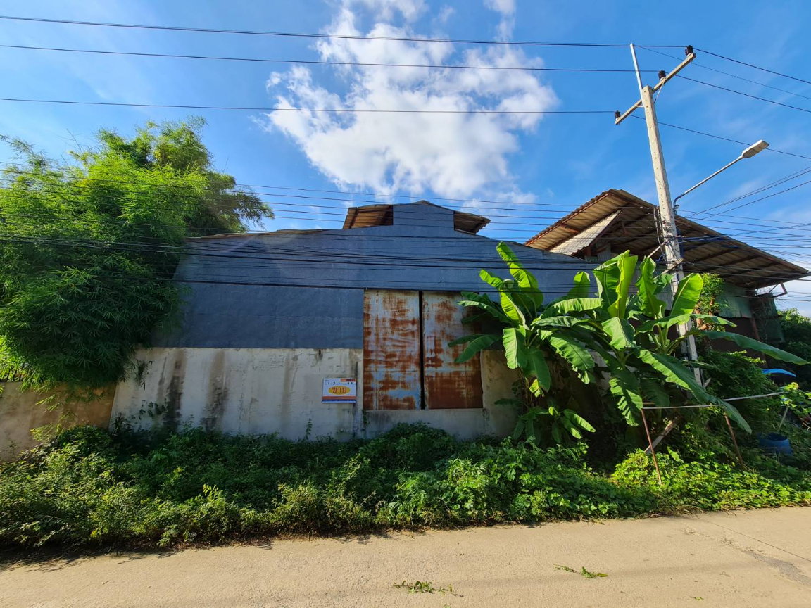 รูป โกดัง ติดถนนเทศบาลเมืองบางมูลนาก จังหวัดพิจิตร รหัสแฟ้ม : 60-00119 หรือ 28855-0001 ติดต่อคุณวันวิสา - รูปที่ 1/9