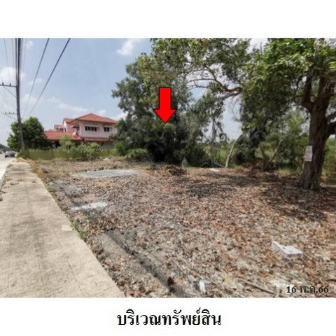 picture FOR SALE LAND PROPERTY 1747000 BAHT. - 6/8