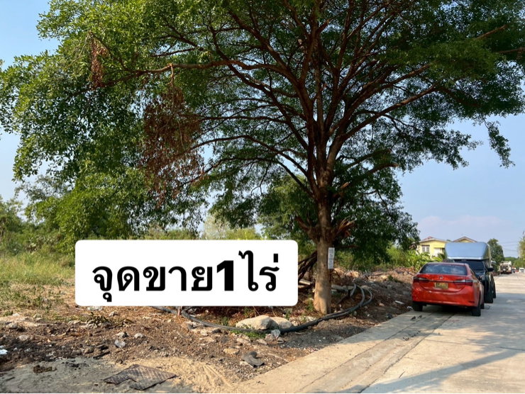 ขายที่ดินรามอินทรา /เทพรักษ์ หลังร้านสุกี้ตี๋น้อย จูล0863377287