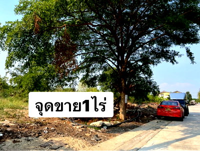 ขายที่ดิน : ขายที่ดินรามอินทรา /เทพรักษ์ หลังร้านสุกี้ตี๋น้อย จูล0863377287