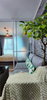 listing thumbnail image 7