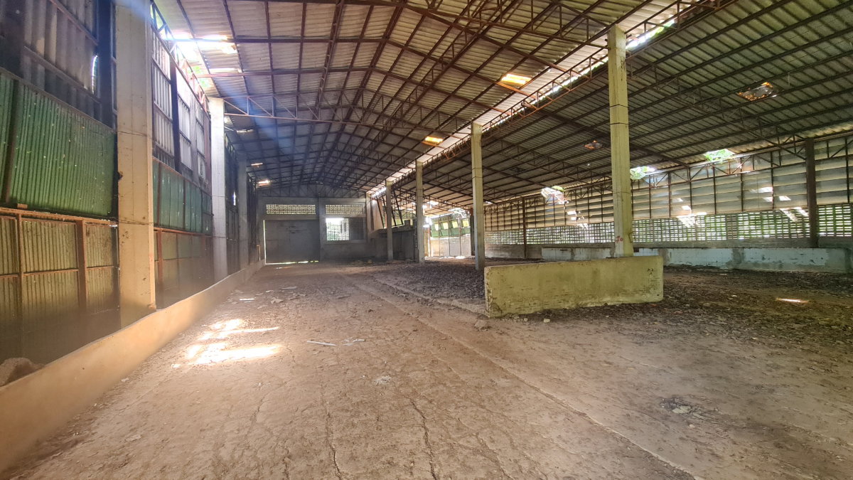 รูป โกดัง ติดถนนเทศบาลเมืองบางมูลนาก จังหวัดพิจิตร รหัสแฟ้ม : 60-00119 หรือ 28855-0001 ติดต่อคุณวันวิสา - รูปที่ 3/9