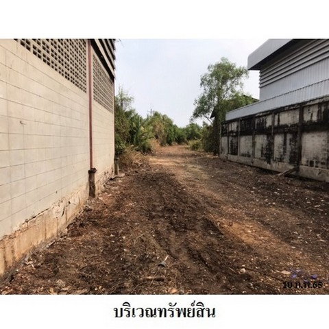 รูป Z4T0426 ขายโกดัง ตำบล แหลมฟ้าผ่า อำเภอ พระสมุทรเจดีย์ จังหวัด สมุทรปราการ - รูปที่ 6/8