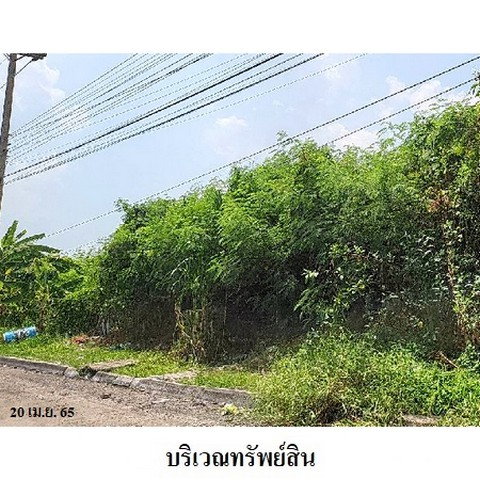 picture FOR SALE  LAND PROPERTY  188310000 BAHT. - 7/8