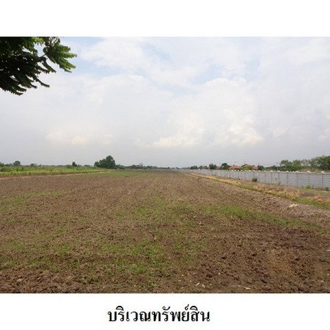 picture FOR SALE  LAND PROPERTY  24232000 BAHT. - 8/8