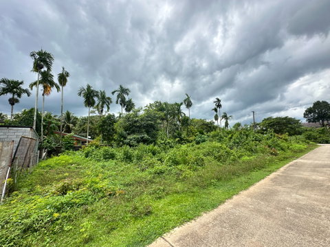 Land for Sale in Mueang Trang – Near Rua Rasada Hotel & Trangwittaya School