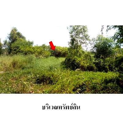 Land for sale Khlog Luang Khlong Nung : FOR SALE  LAND PROPERTY  5923000 BAHT.