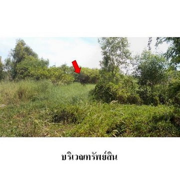 FOR SALE  LAND PROPERTY  5923000 BAHT.