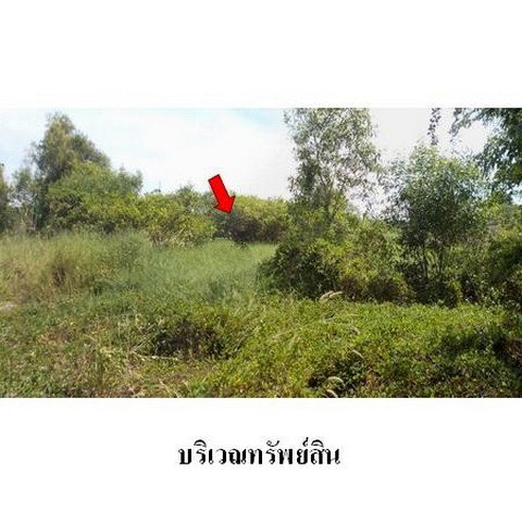 picture FOR SALE  LAND PROPERTY  5923000 BAHT. - 1/8