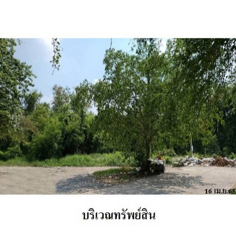 รูป Z1T2937 ขายที่ดิน โครงการ เมืองประชา ตำบล บางคูวัด อำเภอ เมืองปทุมธานี จังหวัด ปทุมธานี - รูปที่ 7/8