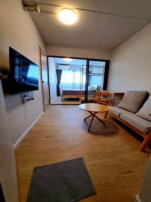 Condos for rent : 11th floor NEW room, never stayed in, 1 bd/1bath/1 kitchen. South facing and breezy. Washing Machine Included. Ready to move in Now