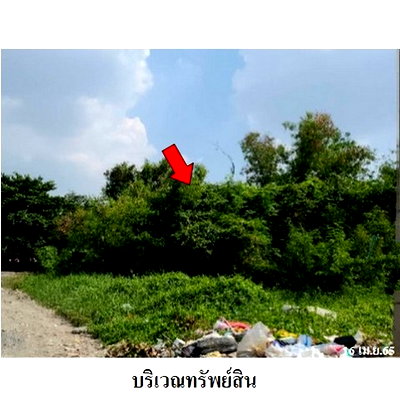 ที่ดิน ถนนสะพานนทบุรี-บางบัวทอง : Z1T2936 ขายที่ดิน โครงการ เมืองประชา ตำบล บางคูวัด อำเภอ เมืองปทุมธานี จังหวัด ปทุมธานี
