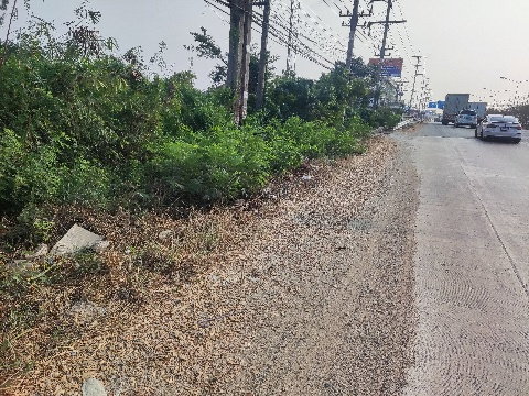 รูป ให้เช่าที่ดินติดถนนใหญ่ 314 บางปะกง ฉะเชิงเทรา ใกล้ทางขึ้นมอเตอร์เวย์ - รูปที่ 7/9