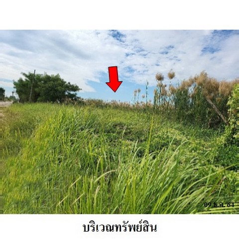 รูป Z3A1048 ขายที่ดิน โครงการ สวนเกษตรพรธิสาร ตำบล บึงสนั่น อำเภอ ธัญบุรี จังหวัด ปทุมธานี - รูปที่ 5/8