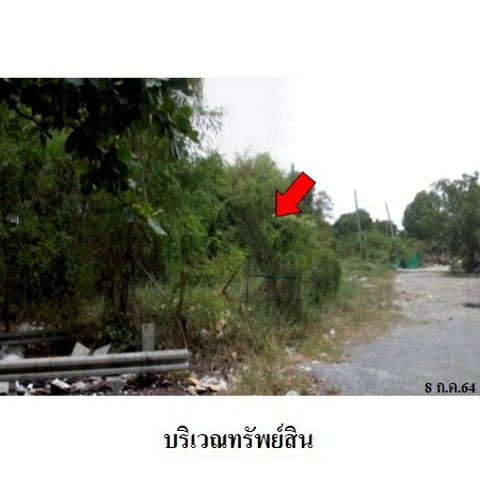 รูป Z1T2829 ขายที่ดิน โครงการ เมืองประชา ตำบล บางคูวัด อำเภอ เมืองปทุมธานี จังหวัด ปทุมธานี - รูปที่ 5/8