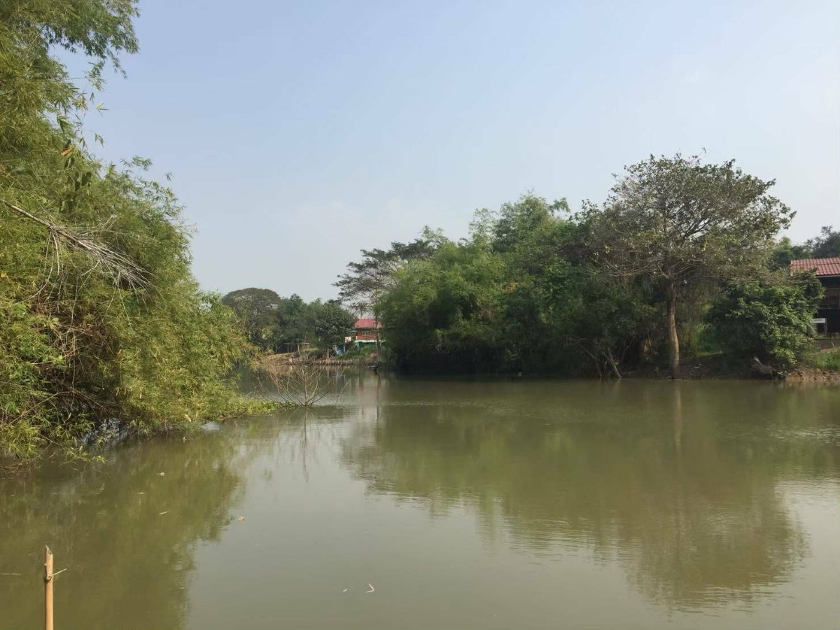รูป ด่วน ขายที่ดินติดน้ำ ที่ริมแม่น้ำน้อย เสนา บ้านโพธิ์ อยุธยา ที่ดินริมน้ำ 3 ไร่ หน้ากว้างติดน้ำสวย ใกล้สี่แยกเสน ตลาดสดบ้านแพน ขายถูก ราคาร้อน - รูปที่ 4/6