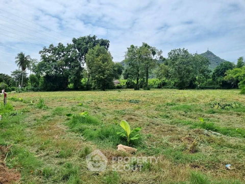 13,120 m² Land for Sale in Bang Phra (ID 2977586)