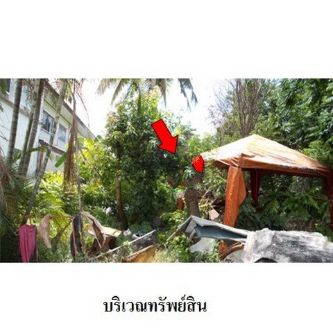 รูป Z1T2813 ขายที่ดิน โครงการ เมืองประชา ตำบล บางคูวัด อำเภอ เมืองปทุมธานี จังหวัด ปทุมธานี - รูปที่ 7/8