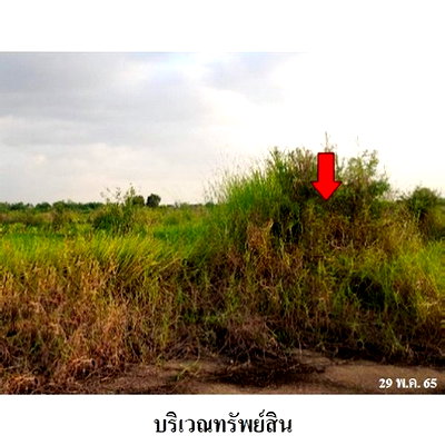 Land for sale Pathumthani : FOR SALE  LAND PROPERTY  891000 BAHT.