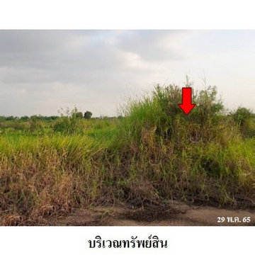 Z3A1730 ขายที่ดิน ตำบล ศาลาครุ อำเภอ หนองเสือ จังหวัด ปทุมธานี