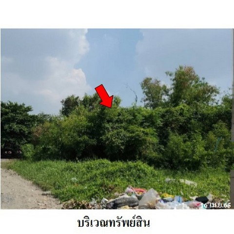 รูป Z1T2936 ขายที่ดิน โครงการ เมืองประชา ตำบล บางคูวัด อำเภอ เมืองปทุมธานี จังหวัด ปทุมธานี - รูปที่ 7/8
