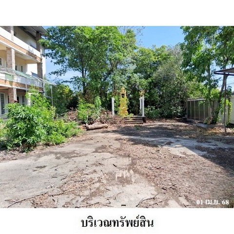 รูป Z8Z5646 ขายสำนักงาน ตำบล บางแก้ว อำเภอ บางพลี จังหวัด สมุทรปราการ - รูปที่ 5/8