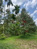 listing thumbnail image 5
