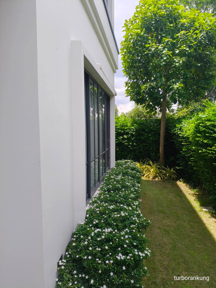 รูป บ้าน พรรณนา พุทธมณฑล สาย3 บ้านเดี่ยว หลังมุม - รูปที่ 3/7