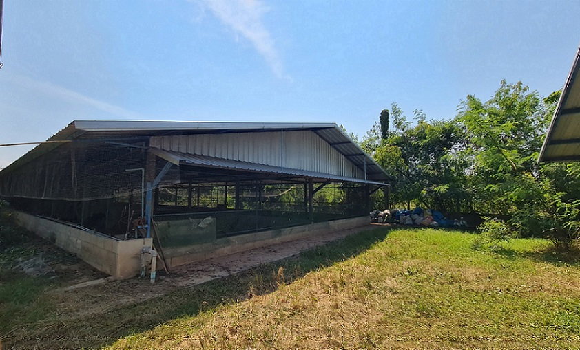 รูป โรงเรือนปศุสัตว์ ติดถนน บ้านกร่าง-บ้านแหลมโพธิ์ อำเภอ เมืองพิษณุโลก จังหวัด พิษณุโลก รหัสแฟ้ม : 67-00237 หรือ 30531-0001 ติดต่อคุณวันวิสา - รูปที่ 3/20