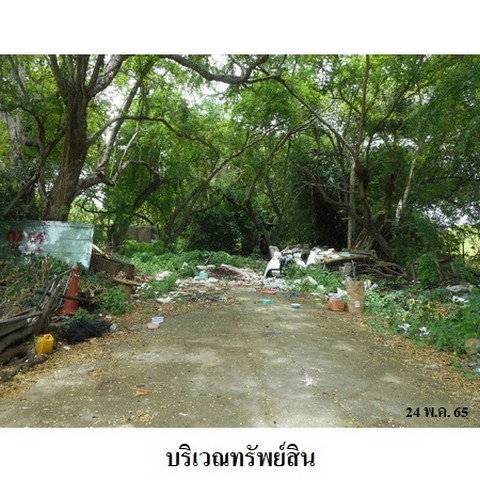 รูป Z1T2809 ขายที่ดิน โครงการ เมืองประชา ตำบล บางคูวัด อำเภอ เมืองปทุมธานี จังหวัด ปทุมธานี - รูปที่ 7/8