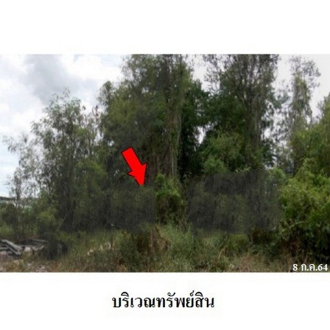 รูป Z1T2829 ขายที่ดิน โครงการ เมืองประชา ตำบล บางคูวัด อำเภอ เมืองปทุมธานี จังหวัด ปทุมธานี - รูปที่ 2/8
