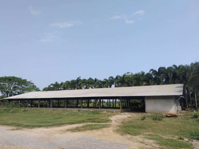 รูป โรงเรือนปศุสัตว์ ติดถนน บ้านกร่าง-บ้านแหลมโพธิ์ อำเภอ เมืองพิษณุโลก จังหวัด พิษณุโลก รหัสแฟ้ม : 67-00237 หรือ 30531-0001 ติดต่อคุณวันวิสา - รูปที่ 17/20
