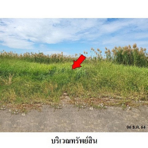 รูป Z3A1048 ขายที่ดิน โครงการ สวนเกษตรพรธิสาร ตำบล บึงสนั่น อำเภอ ธัญบุรี จังหวัด ปทุมธานี - รูปที่ 2/8