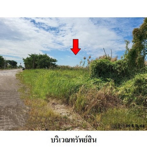 รูป Z3A1048 ขายที่ดิน โครงการ สวนเกษตรพรธิสาร ตำบล บึงสนั่น อำเภอ ธัญบุรี จังหวัด ปทุมธานี - รูปที่ 6/8