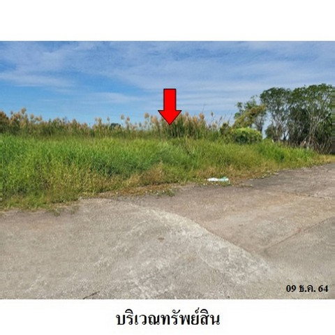 รูป Z3A1048 ขายที่ดิน โครงการ สวนเกษตรพรธิสาร ตำบล บึงสนั่น อำเภอ ธัญบุรี จังหวัด ปทุมธานี - รูปที่ 3/8