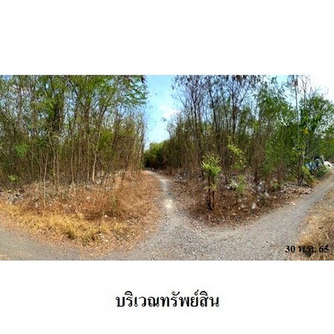 picture FOR SALE  LAND PROPERTY  220980000 BAHT. - 7/8