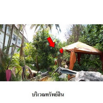 Z1T2813 ขายที่ดิน โครงการ เมืองประชา ตำบล บางคูวัด อำเภอ เมืองปทุมธานี จังหวัด ปทุมธานี