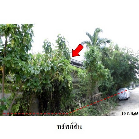 picture FOR SALE FACTORY PROPERTY 37397000 BAHT. - 6/8