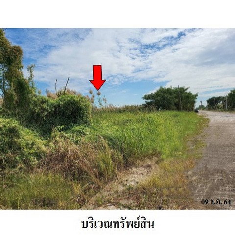 รูป Z3A1048 ขายที่ดิน โครงการ สวนเกษตรพรธิสาร ตำบล บึงสนั่น อำเภอ ธัญบุรี จังหวัด ปทุมธานี - รูปที่ 7/8