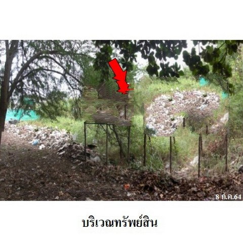 รูป Z1T2829 ขายที่ดิน โครงการ เมืองประชา ตำบล บางคูวัด อำเภอ เมืองปทุมธานี จังหวัด ปทุมธานี - รูปที่ 3/8