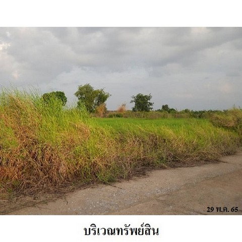 picture FOR SALE  LAND PROPERTY  891000 BAHT. - 7/8