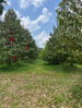 listing thumbnail image 3