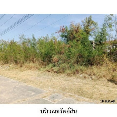 รูป Z1A0074 ขายที่ดิน โครงการ เพชรชมพู ตำบล รังสิต อำเภอ ธัญบุรี จังหวัด ปทุมธานี - รูปที่ 7/8