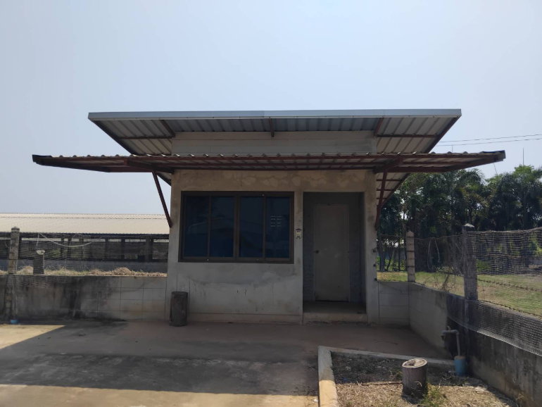 รูป โรงเรือนปศุสัตว์ ติดถนน บ้านกร่าง-บ้านแหลมโพธิ์ อำเภอ เมืองพิษณุโลก จังหวัด พิษณุโลก รหัสแฟ้ม : 67-00237 หรือ 30531-0001 ติดต่อคุณวันวิสา - รูปที่ 9/20