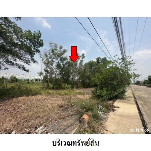 picture FOR SALE LAND PROPERTY 1747000 BAHT. - 2/8