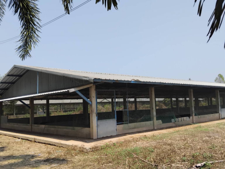 รูป โรงเรือนปศุสัตว์ ติดถนน บ้านกร่าง-บ้านแหลมโพธิ์ อำเภอ เมืองพิษณุโลก จังหวัด พิษณุโลก รหัสแฟ้ม : 67-00237 หรือ 30531-0001 ติดต่อคุณวันวิสา - รูปที่ 14/20