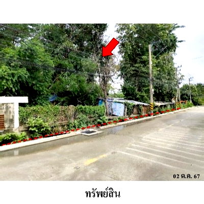 ที่ดิน ถนนสะพานนทบุรี-บางบัวทอง : Z4T0990 ขายที่ดิน ตำบล บางคูวัด อำเภอ เมืองปทุมธานี จังหวัด ปทุมธานี